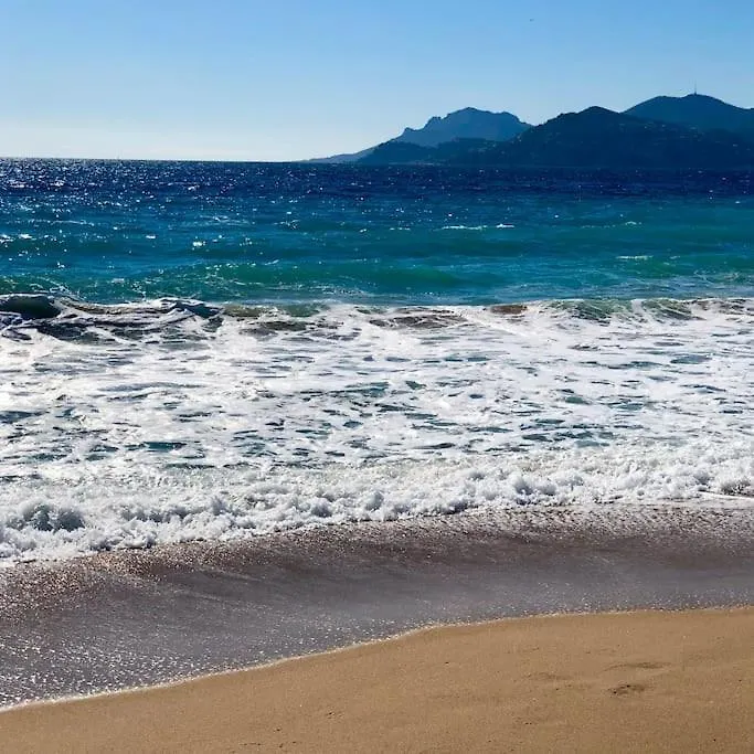 Apartment Appartement T3 Plage Et Festival Cannes